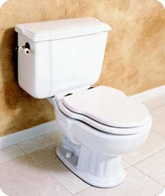 mckinney toilet repair and installations